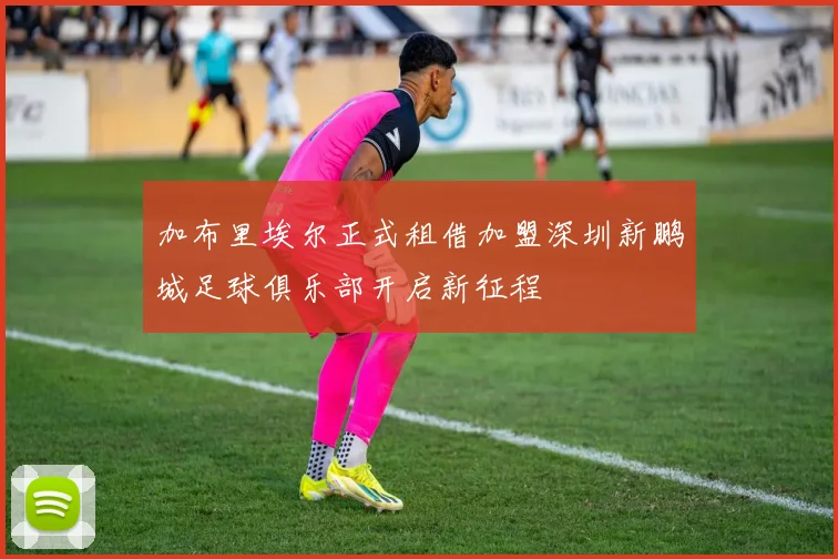 加布里埃尔正式租借加盟深圳新鹏城足球俱乐部开启新征程