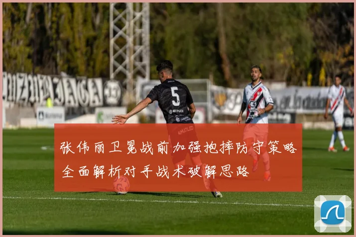 张伟丽卫冕战前加强抱摔防守策略全面解析对手战术破解思路